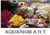 Reefscape Australia Aquarium Artificial Rock work and Themeing