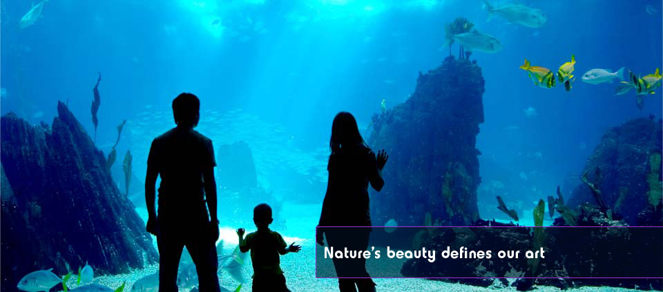 Picture of a large oceanarium acrylic window with a family looking into the aquarium behind.