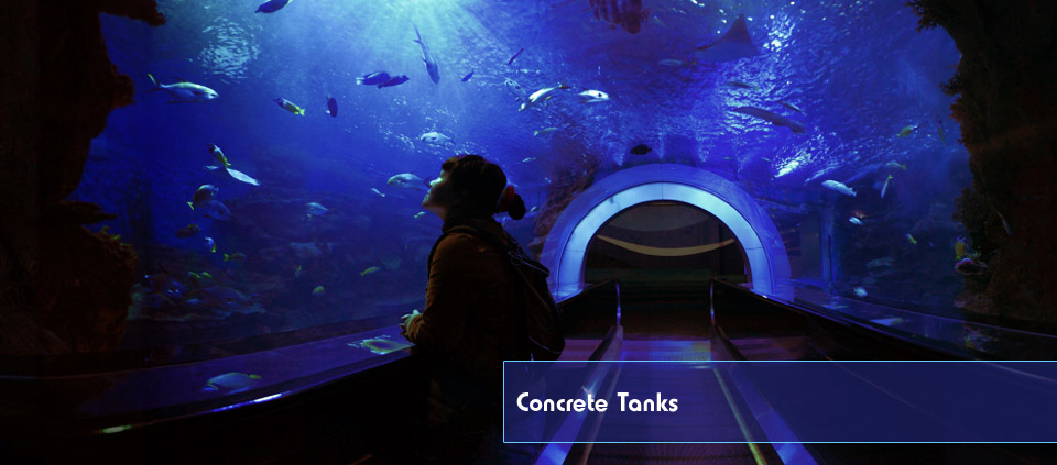 A picture of a big aquarium tank built from concrete.