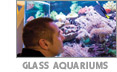 Glass Aquariums