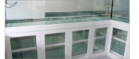 Glass aquarium cupboard doors