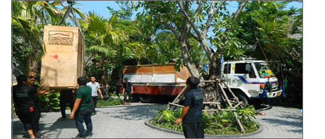 Large reef aquarium delivery in koh samui