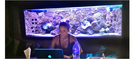 Woman test reef aquarium water parameters.