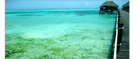 A picture of a beach and hotel jetty showing algae growing in the sea.