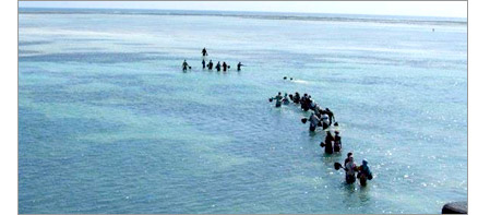 local people collecting materials for the resort aquarium