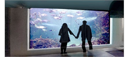 Couple stand in front of a large aquarium acrylic window